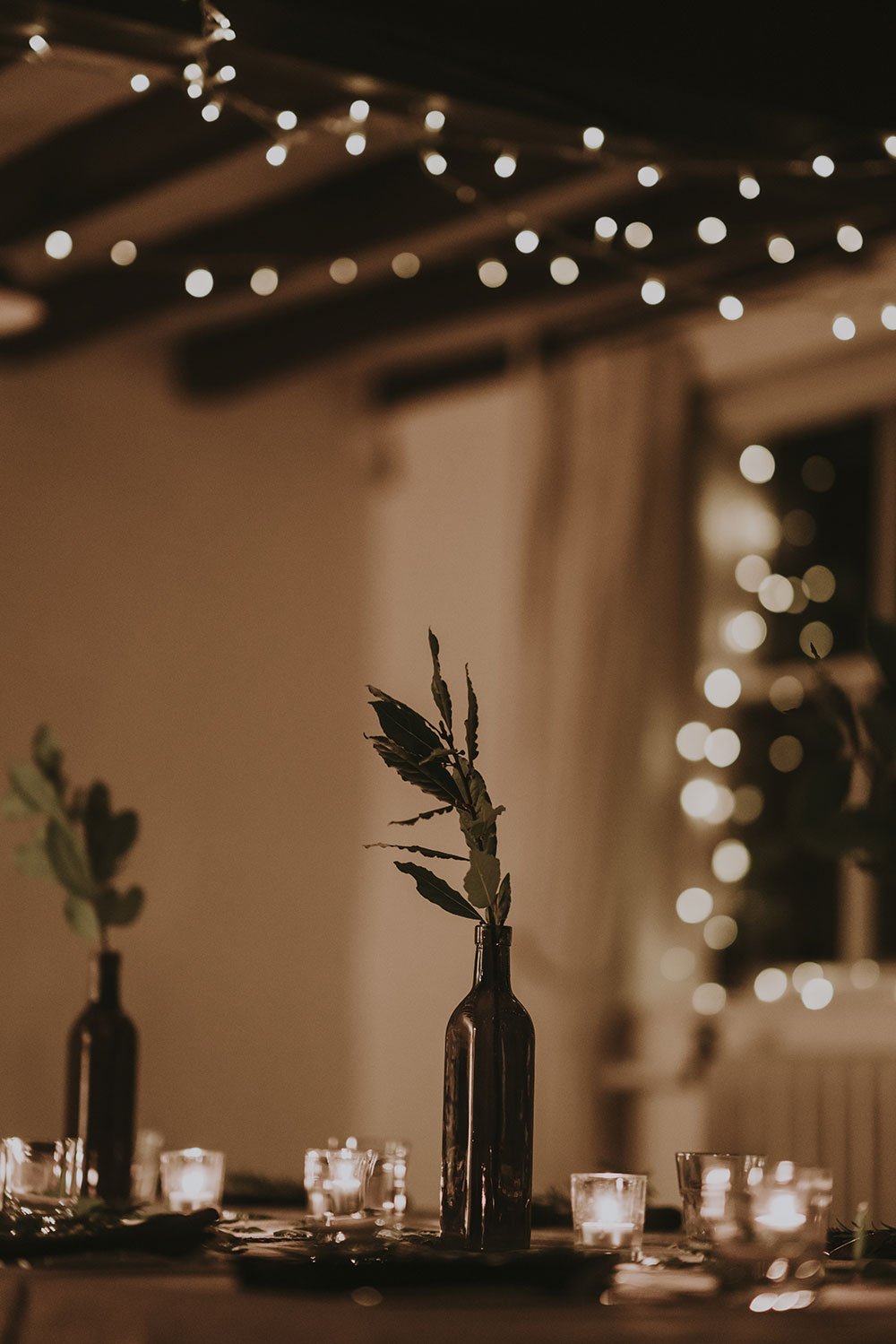 Calarbo™ Trixie - LED Solar Powered Fairy Lights Light