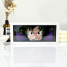 Anime Deku RGB Light Box Decor