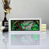 Anime Broly RGB Light Box Decor