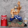 25cm Dragon Ball Z Anime Figure Master Roshi Figure Kame Sennin Action Figure Pvc Statue Collection Model Decoration Toy Gifts