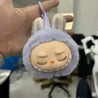 Labubu The Monsters Premium Mugshot Keychain Blue Plush Keychain