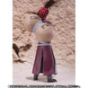 Gara S.H. Figuarts Figures