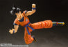 Goku Saiyan Raised on Earth S.H.Figuarts Figures