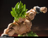 Broly Full Power S.H.Figuarts Figures