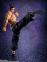 Todo Aoi S.H.Figuarts Figures