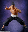 Todo Aoi S.H.Figuarts Figures
