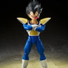 Vegeta 24000 Power Level S.H.Figuarts Figures