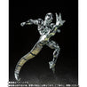 Cooler Coora Gula Billion Energy Warrior S.H.Figuarts Figures