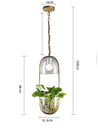 Calarbo™ Lileas - Modern Hanging Planter Lamp Light
