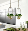 Calarbo™ Lileas - Modern Hanging Planter Lamp Light
