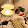 Calarbo™ Sirenita - Pearl & Shell Desk Lamp