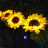 Calarbo™ 2 LED Sunflower Garden Lights