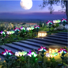 Calarbo™ Artificial Lilies LED Garden Lights