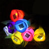 Calarbo™ Tulip Flower Solar Garden Light