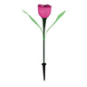 Calarbo™ Tulip Flower Solar Garden Light Pink