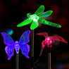 Calarbo™ Colorful LED Garden Lights