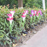 Calarbo™ Artificial Lilies LED Garden Lights