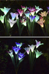 Calarbo™ Artificial Lilies LED Garden Lights