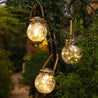 Calarbo™ Modern Round Glass Jar Garden Hanging Lamp