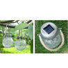 Calarbo™ Modern Round Glass Jar Garden Hanging Lamp