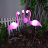 Calarbo™ Solar Power Flamingo Garden Lamp