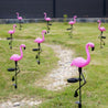 Calarbo™ Solar Power Flamingo Garden Lamp
