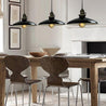 Calarbo™ Zelus - Vintage Retro Metal Shade Hanging Lamp Light