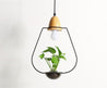 Calarbo™ Zox - Modern Nordic Iron Pendant Planter Lamp Light