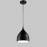 Calarbo™ Modern Nordic Pendant Hanging Lights Black 1 Round Light