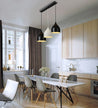 Calarbo™ Modern Nordic Pendant Hanging Lights Light