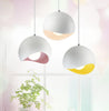 Calarbo™ Atupa - Dome Hanging Pendant Lighting Light