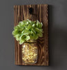 Calarbo™ Jinx - Wall Mounted Fairy Light Mason Jar Green Light
