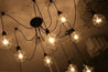 Calarbo™ The Warmly Spider Chandelier Chandelier