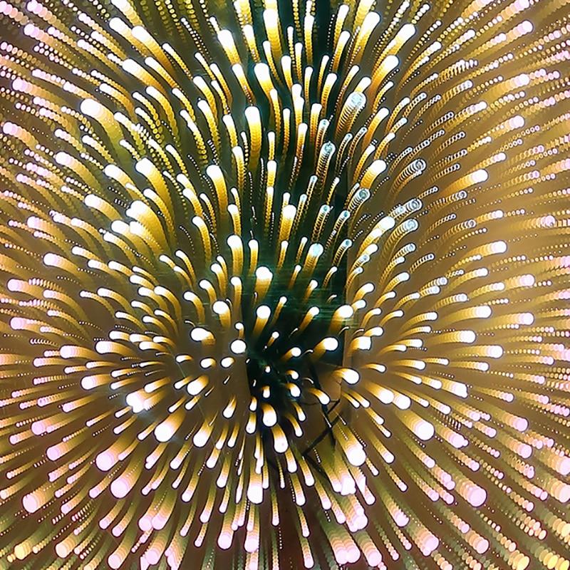 Calarbo™ Nebula™ - Modern Nordic Hanging Lamp Light