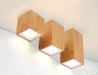 Calarbo™ Dru - Modern Nordic LED Ceiling Lights Light