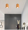 Calarbo™ Dru - Modern Nordic LED Ceiling Lights Light