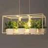 Calarbo™ Iron Planter Chandelier White Chandelier