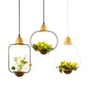 Calarbo™ Zox - Modern Nordic Iron Pendant Planter Lamp Light