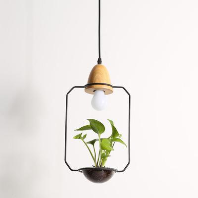 Calarbo™ Zox - Modern Nordic Iron Pendant Planter Lamp Light