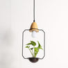 Calarbo™ Zox - Modern Nordic Iron Pendant Planter Lamp Light