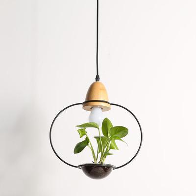 Calarbo™ Zox - Modern Nordic Iron Pendant Planter Lamp Round Black Light
