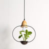 Calarbo™ Zox - Modern Nordic Iron Pendant Planter Lamp Round Black Light