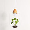 Calarbo™ Zox - Modern Nordic Iron Pendant Planter Lamp Square White Light
