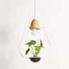 Calarbo™ Zox - Modern Nordic Iron Pendant Planter Lamp Cone White Light
