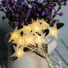 Calarbo™ Kintana - Star Shape Fairy Lights Light