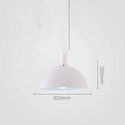 Calarbo™ Modern Nordic Round Lampshade Hanging Light White Light