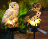 Calarbo™ Owl LED Garden Light