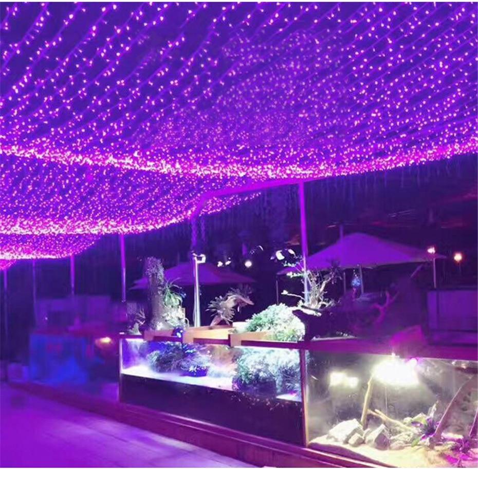 Calarbo™ Trixie - LED Solar Powered Fairy Lights Light