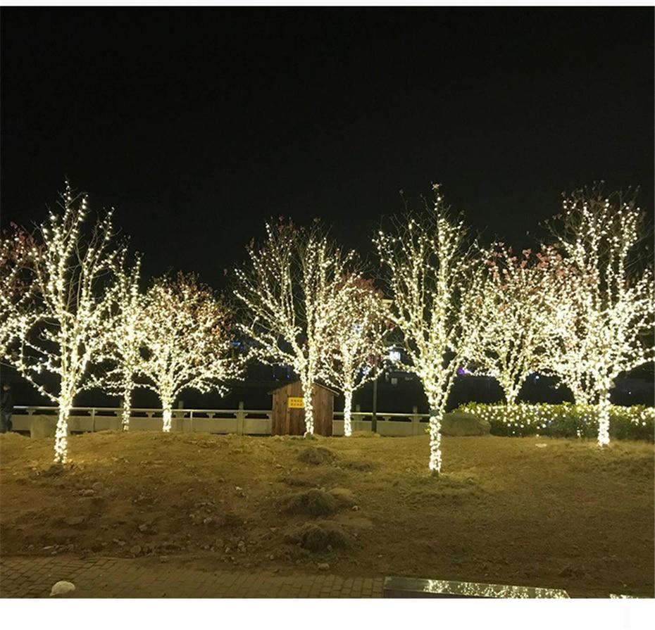 Calarbo™ Trixie - LED Solar Powered Fairy Lights Light