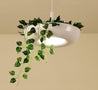 Calarbo™ Mauricio - Modern Planter Lampshade Light